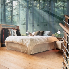 Dream Bedroom with Cat